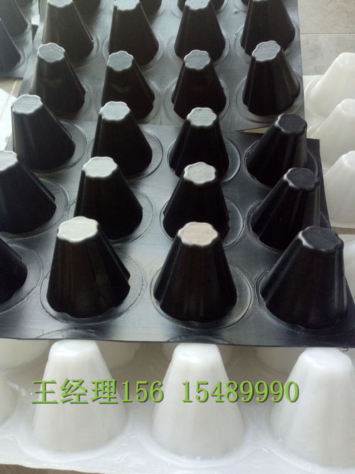 瑞金H20排水板 創(chuàng)鴻品質(zhì)，構筑堅實防潮基石